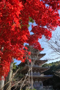 醍醐寺